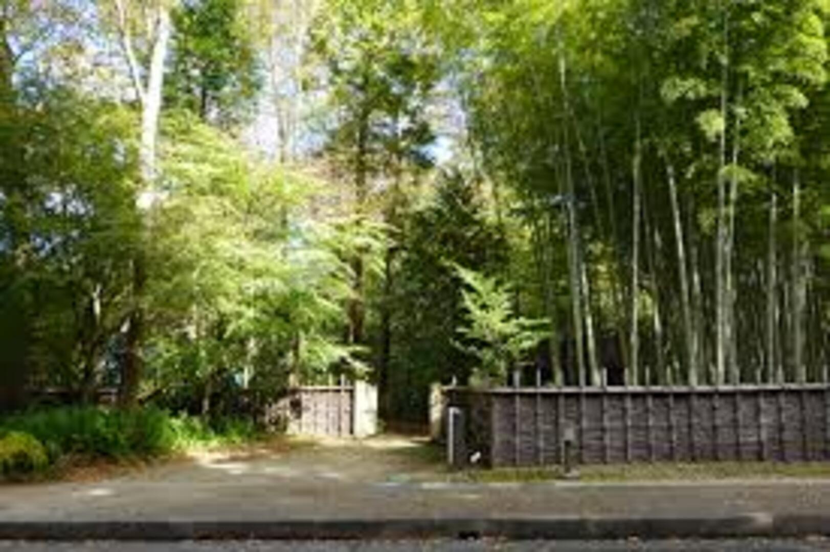 Gotemba Trail - Panoramic viewpoint trail with 360-degree views